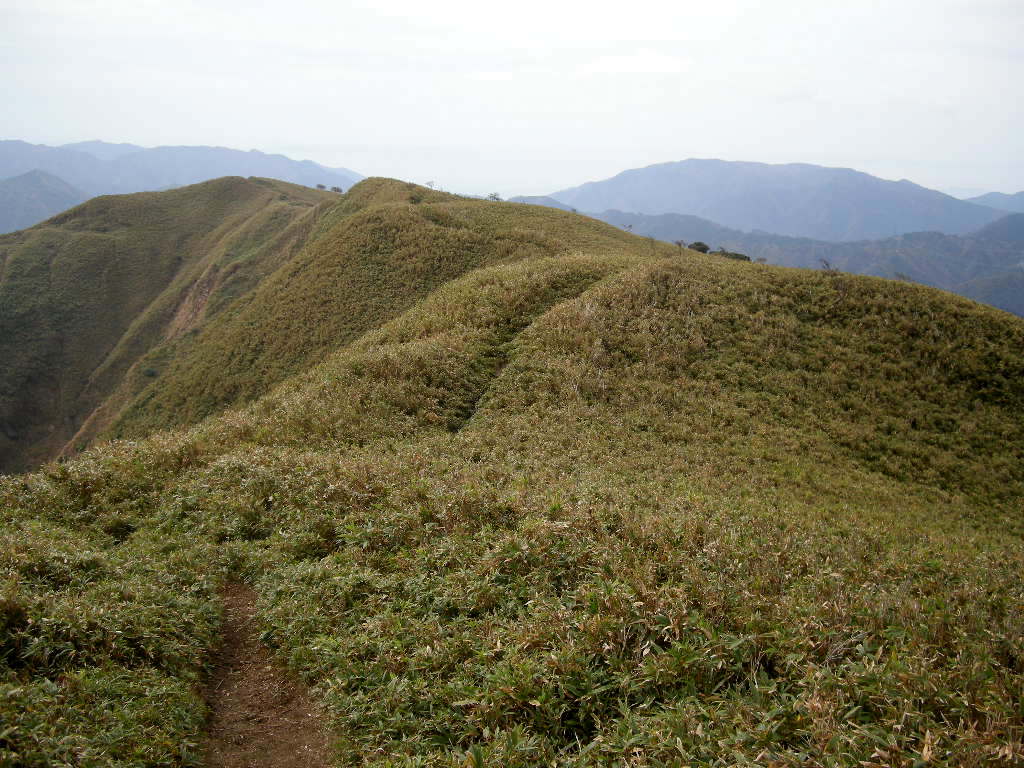 b0185573_8285522.jpg