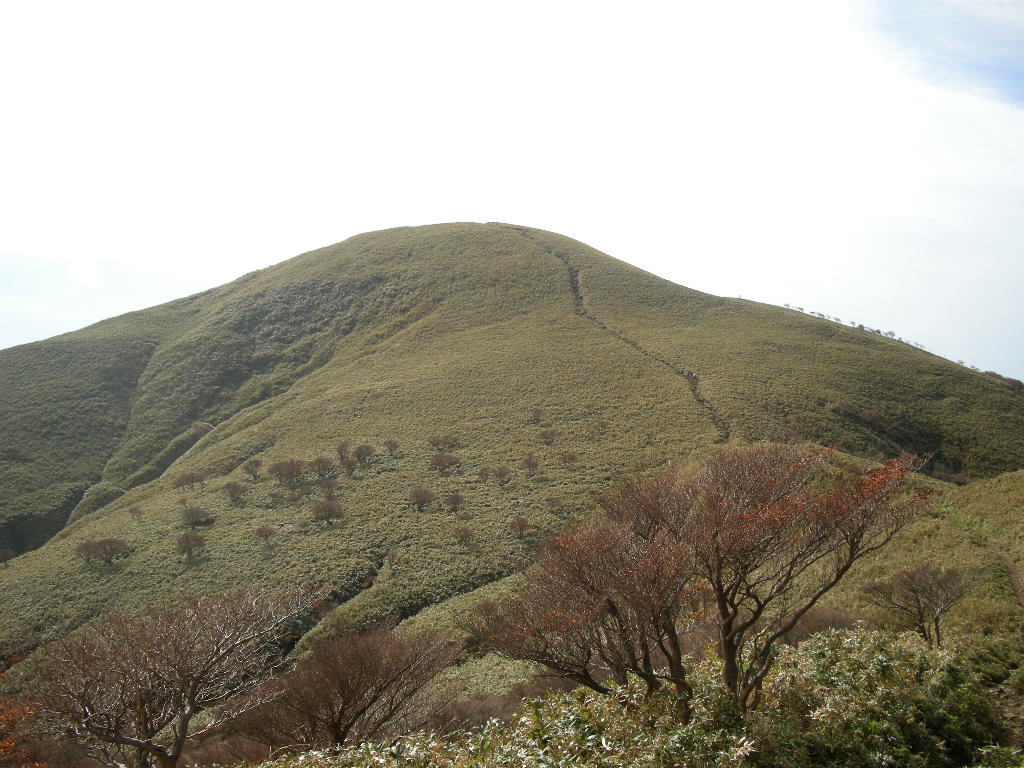 b0185573_845934.jpg
