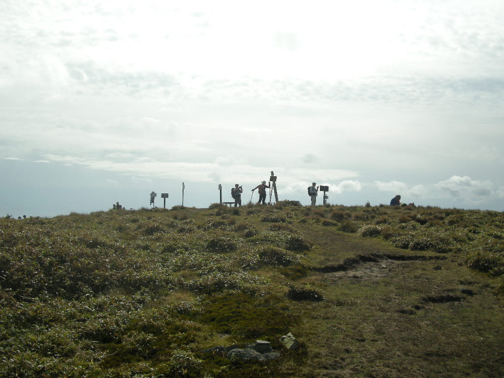 b0185573_865262.jpg