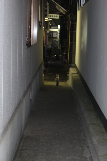 e0112077_0194722.jpg