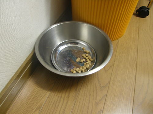 迷子犬(2)_e0232277_10254481.jpg