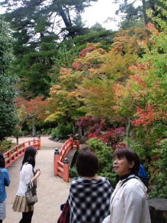 c0228378_19223471.jpg