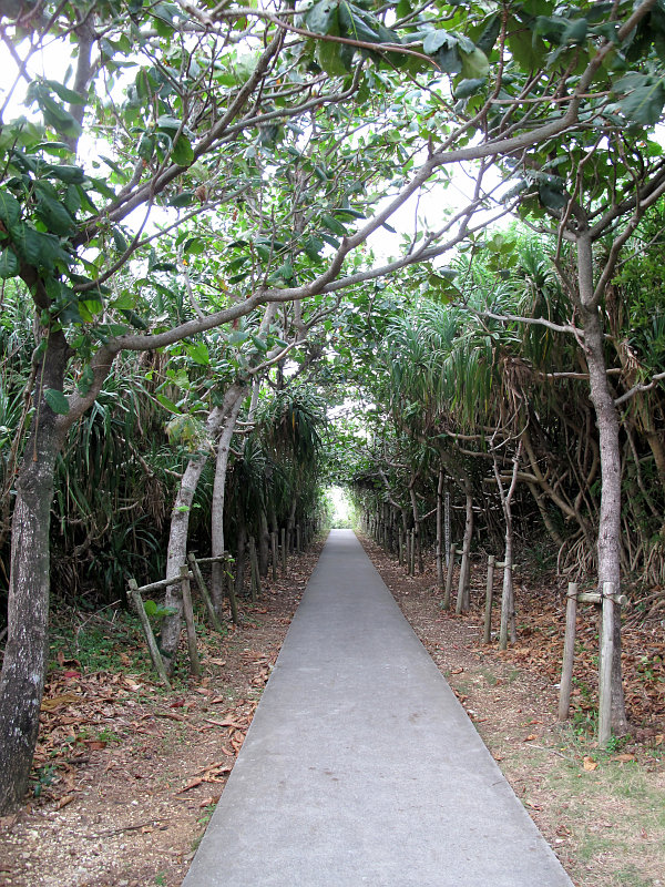 弾丸沖縄　伊良部下地島編　⑥　通り池_b0122979_922843.jpg