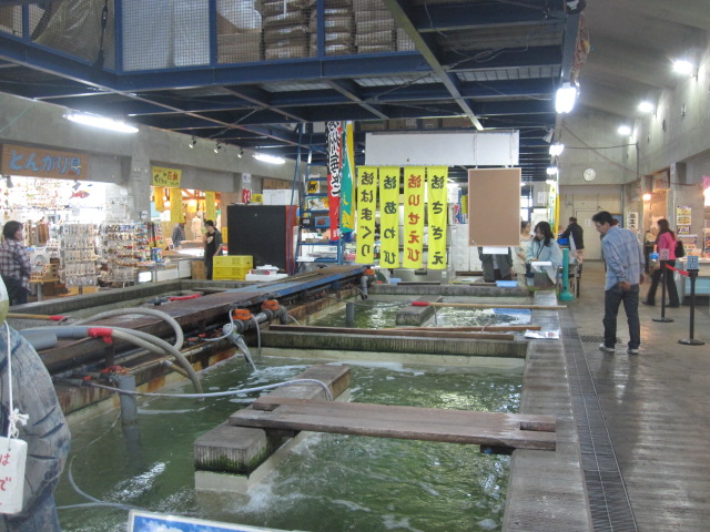 c0205379_6501931.jpg
