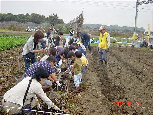 第６回菜の花農業体験教室　2011.11.5（土）_c0145581_22521863.jpg