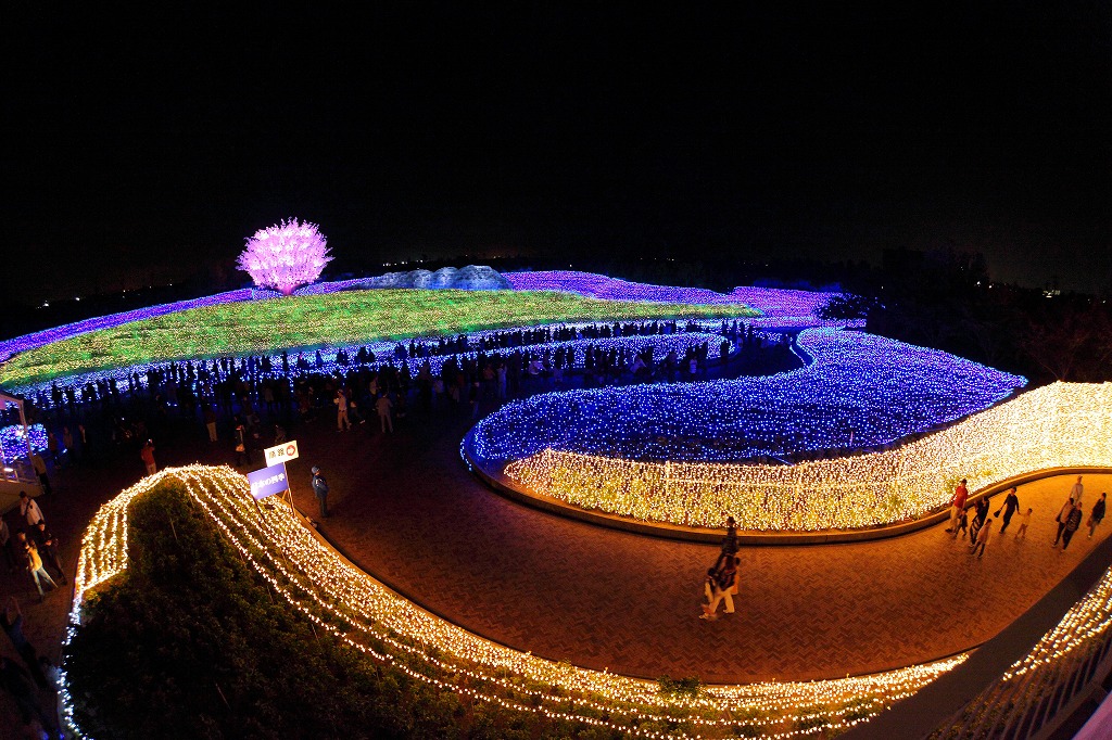 e0244181_21491070.jpg