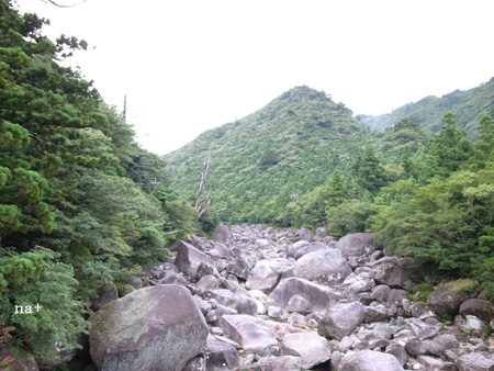 はじめての屋久島。その５_b0168984_2131326.jpg