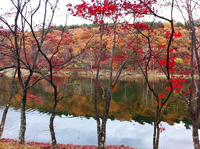 ｢紅葉狩り｣_f0204584_15213570.jpg