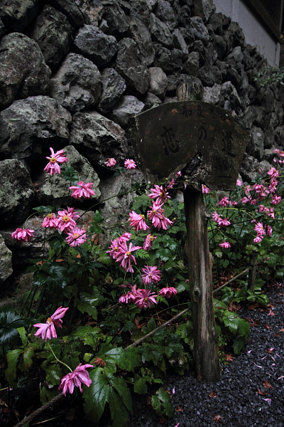 貴船神社_e0051888_22115196.jpg