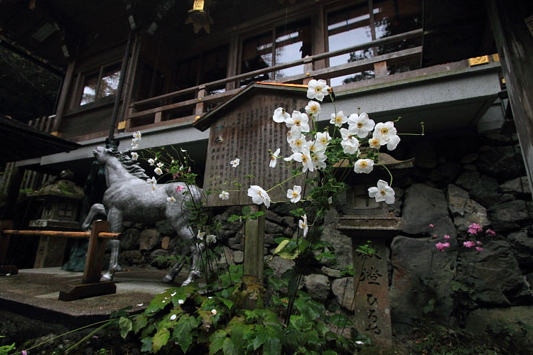 貴船神社_e0051888_2211570.jpg