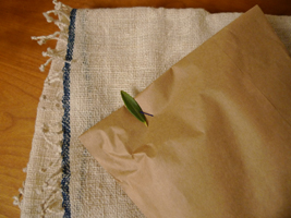 クラトコ2011_b0142989_04112.jpg