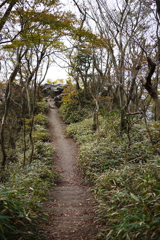 筑波山③ 自然研究路_a0127090_12542330.jpg