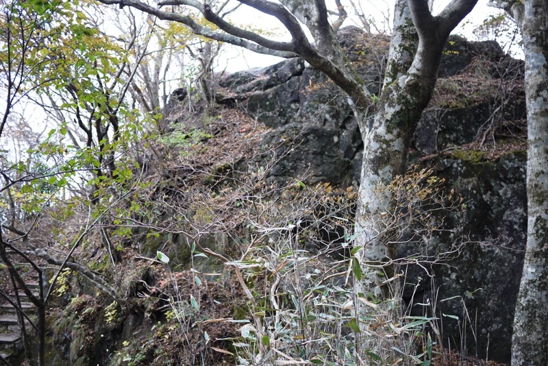 筑波山③ 自然研究路_a0127090_131331.jpg