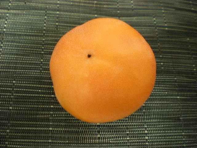 柿_e0233190_11423651.jpg
