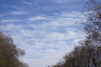 f0195891_15411710.jpg