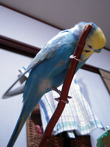 d0131293_19314095.jpg