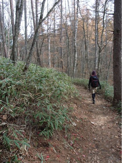 c0084394_20471050.jpg