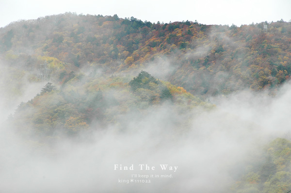 【wanこ】高山オフ 2011 vol.2 〜 風穴の里から安房峠へ_f0054594_0492993.jpg