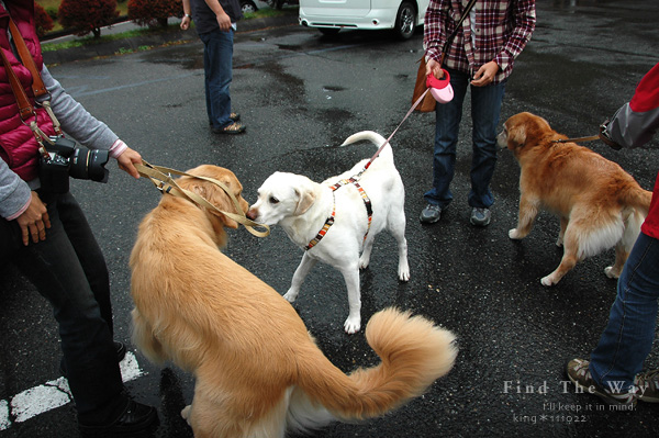 【wanこ】高山オフ 2011 vol.2 〜 風穴の里から安房峠へ_f0054594_0503913.jpg
