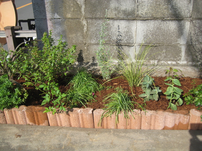 河内長野市2011年11月_a0233896_15551494.jpg