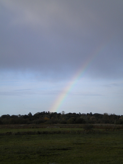 e0160905_8103166.jpg