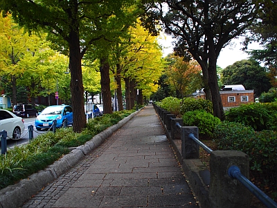 c0156908_7321818.jpg