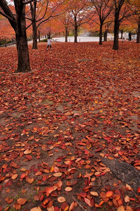 b0128609_2254231.jpg