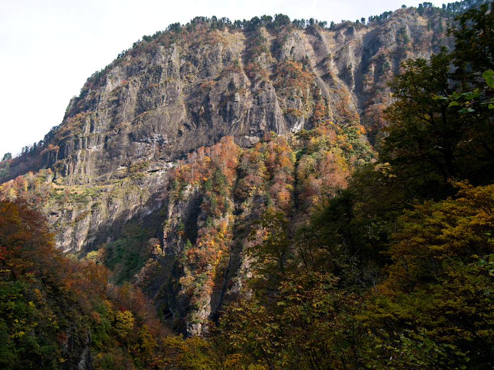 c0065410_20123149.jpg