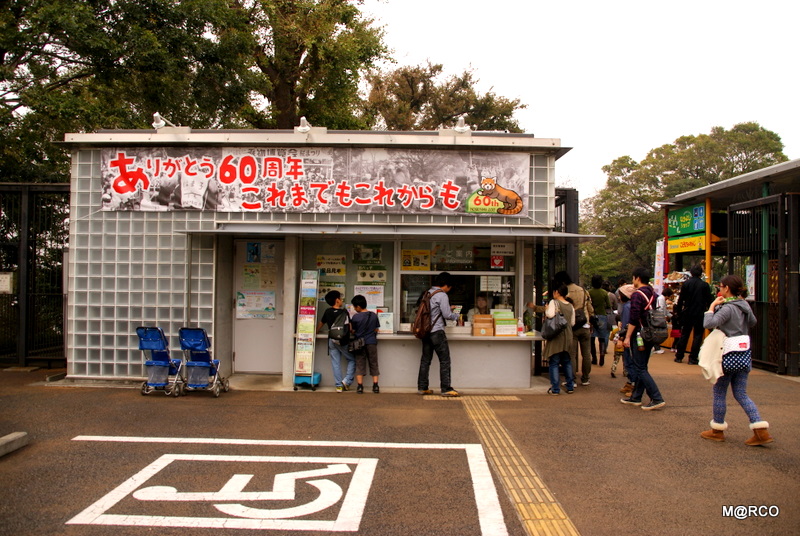 野毛山動物園 @ 神奈川_c0037611_21182262.jpg