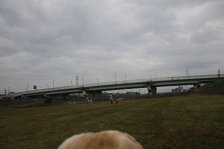 f0191413_10175137.jpg
