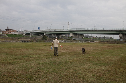 f0191413_10344999.jpg