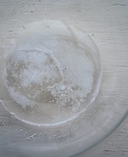 f0036716_22561858.jpg