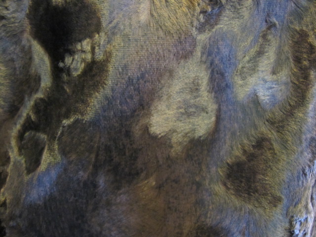 f0165518_124815100.jpg