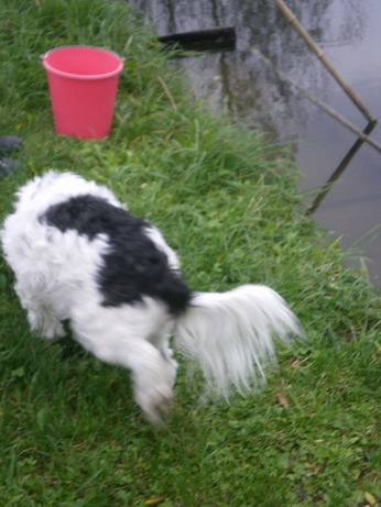 c0124619_23171461.jpg