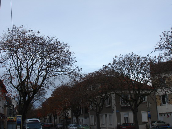 c0124619_23183271.jpg