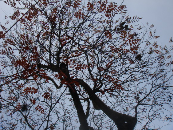 c0124619_23185934.jpg