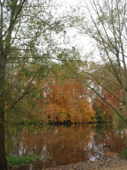 c0124619_23194822.jpg