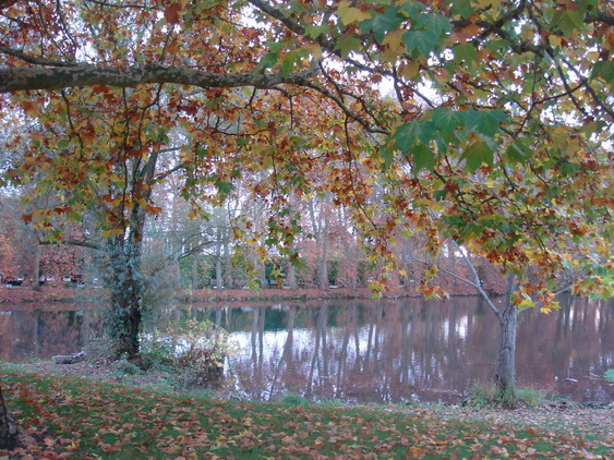 c0124619_232131.jpg