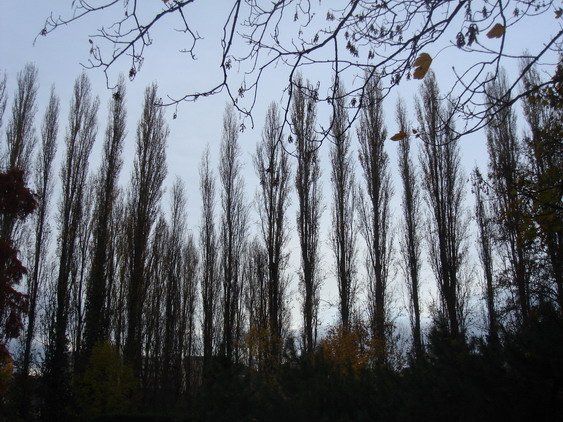 c0124619_2321312.jpg