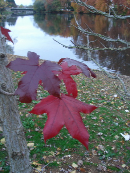 c0124619_2329378.jpg
