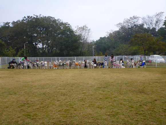 a0226620_0105288.jpg