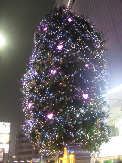 f0051220_17174177.jpg