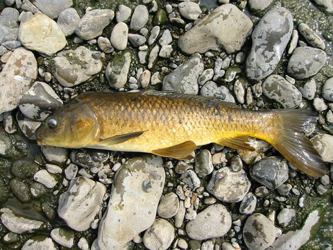 c0202727_2142256.jpg