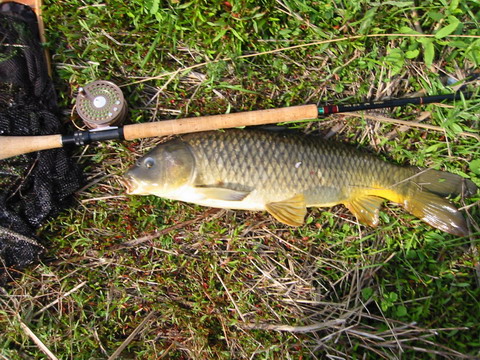 c0202727_21424527.jpg
