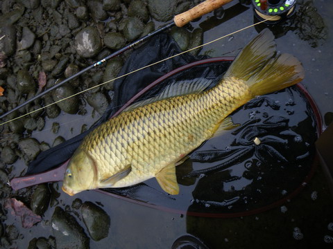 c0202727_21551413.jpg