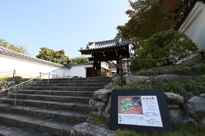 紅葉の東福寺 －栗棘庵－_b0169330_2141998.jpg