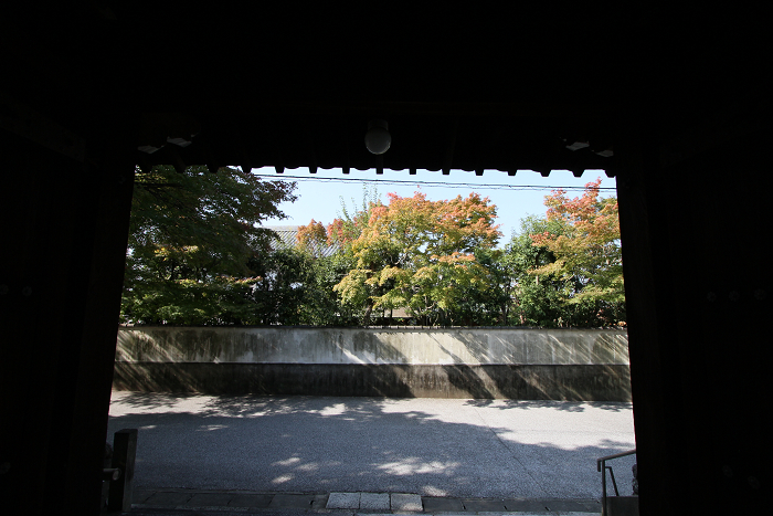紅葉の東福寺 －栗棘庵－_b0169330_214276.jpg