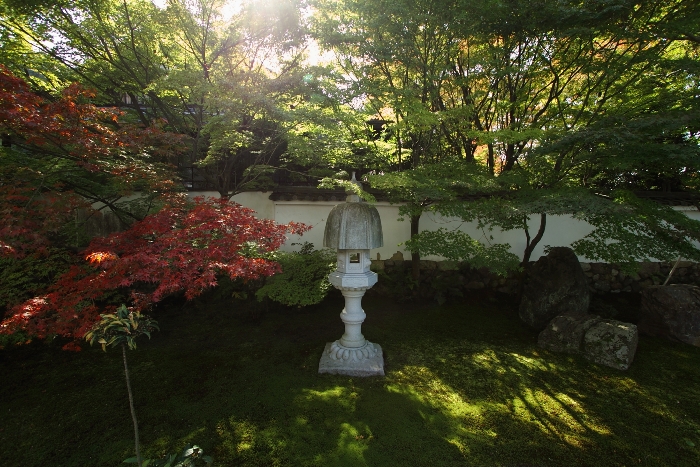 紅葉の東福寺 －栗棘庵－_b0169330_2145581.jpg