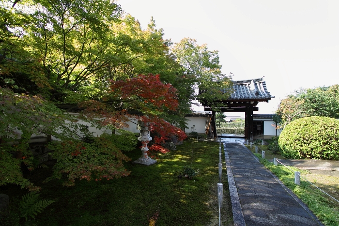 紅葉の東福寺 －栗棘庵－_b0169330_215056.jpg