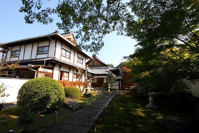 紅葉の東福寺 －栗棘庵－_b0169330_215682.jpg